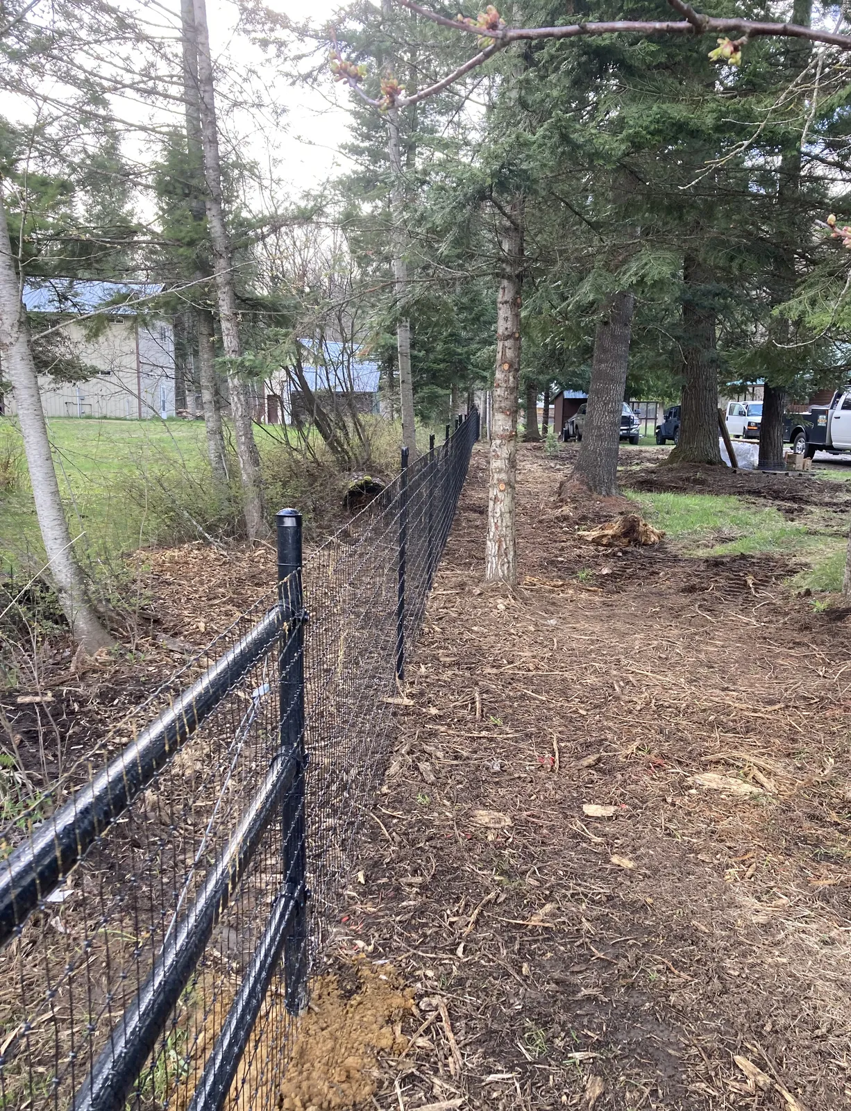 Black Frontier mesh fence running through the wooded back side of the North Idaho property.