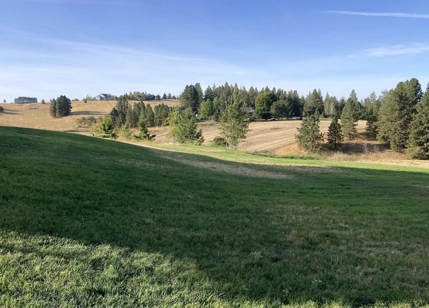 Rolling landscape surrounding the Eastern Washington horse property.