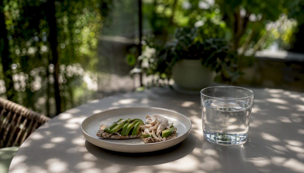 Plate with small low-fat meal for injection day planning