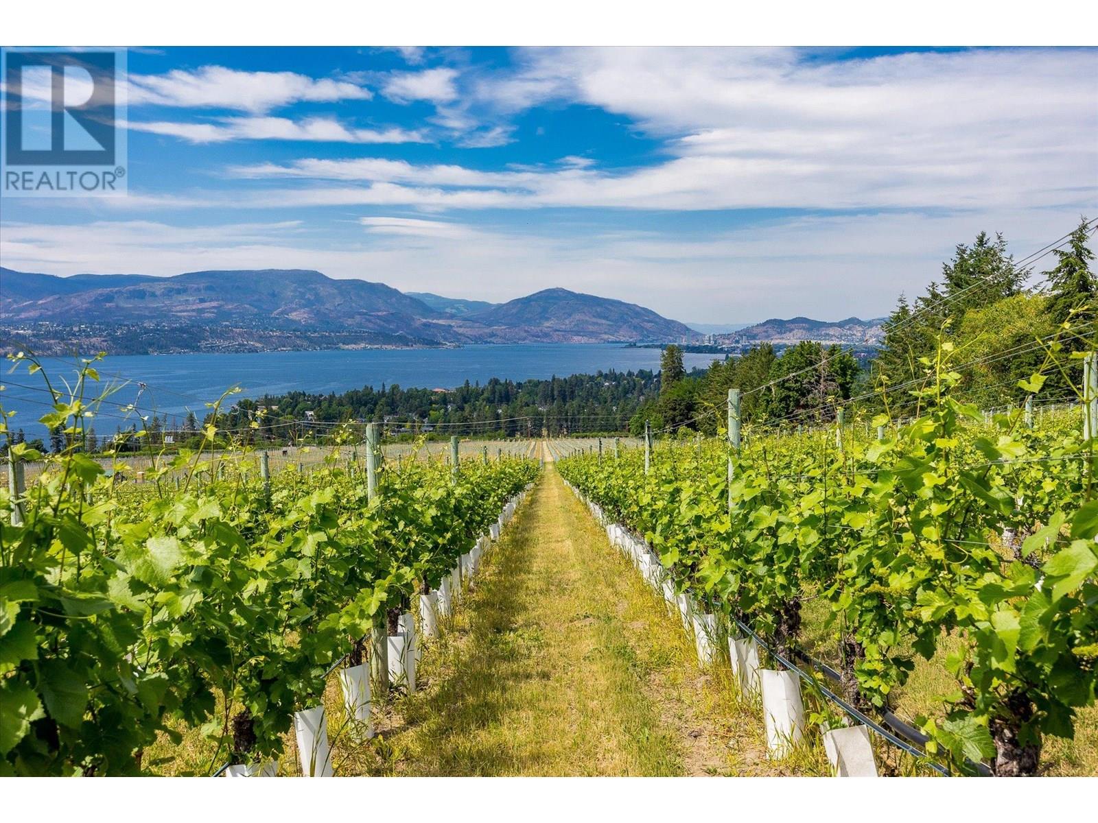 4855 Chute Lake Road