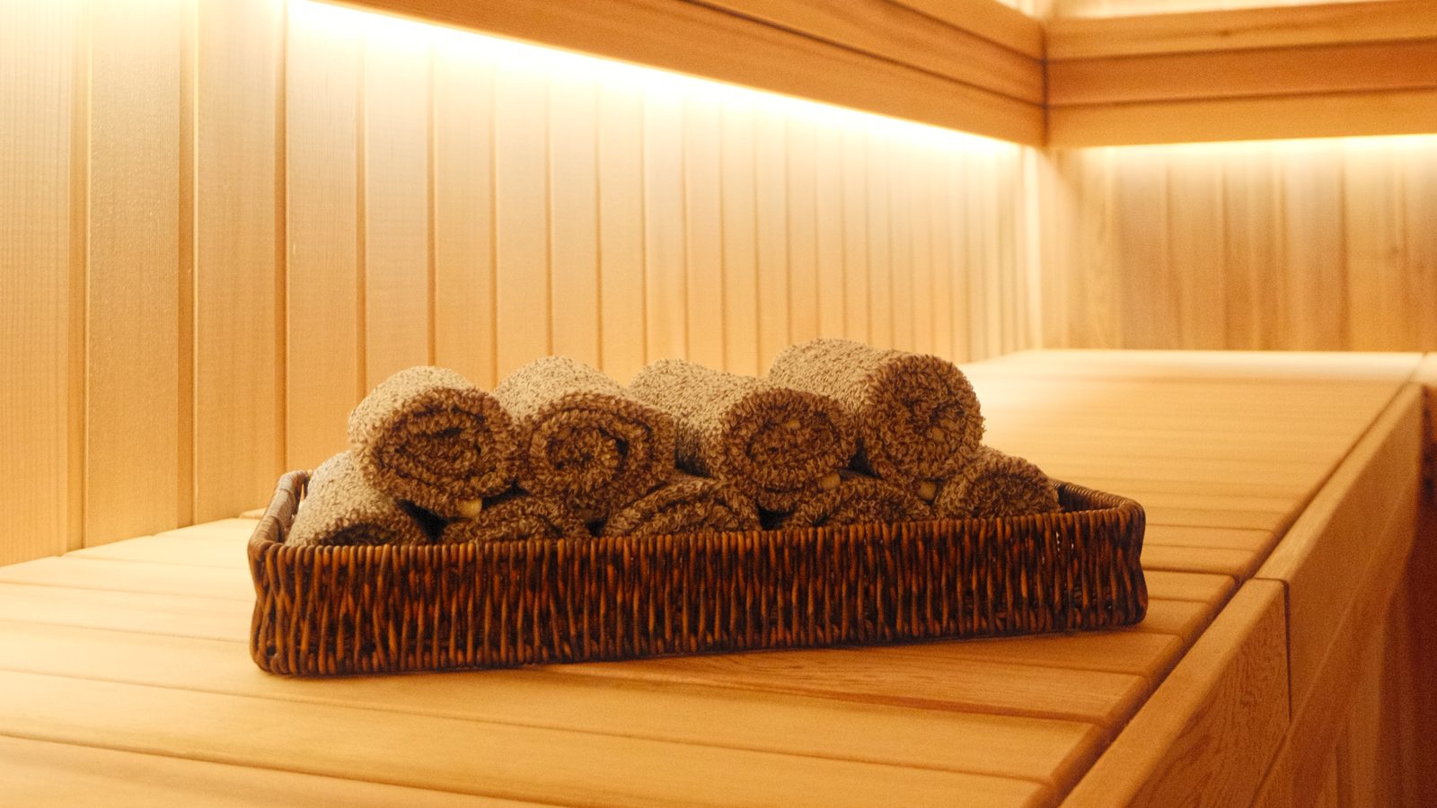 Commercial Recovery Sauna | Shellharbour