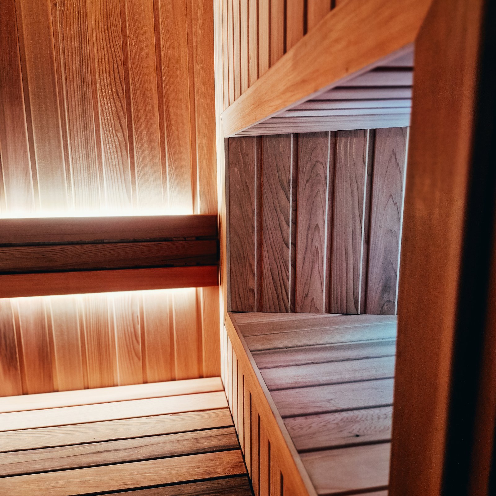 A traditional Western Red Cedar sauna behind a curved bronze-glass archway, built into a small under-house wellness retreat in Bellevue Hill.