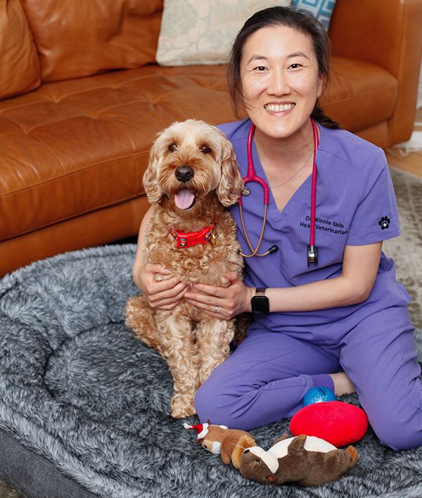 Dr Winnie, Fear Free certified mobile vet, sitting on the living room floor with a happy dog