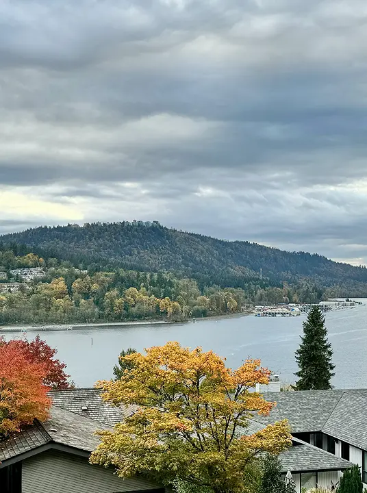 River with forested hills and cloudy sky in autumn, with colorful trees and rooftops in foreground.