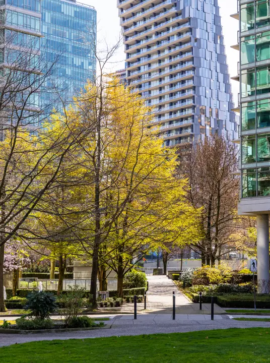 Urban park area with green grass, trees with yellow and bare branches, surrounded by modern glass buildings in daylight.