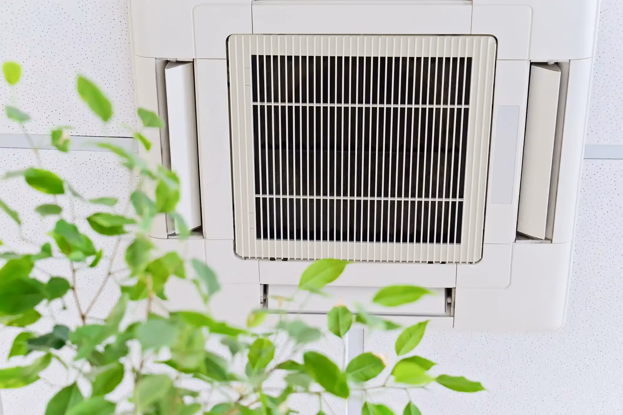 Ceiling mounted air conditioner with plant.