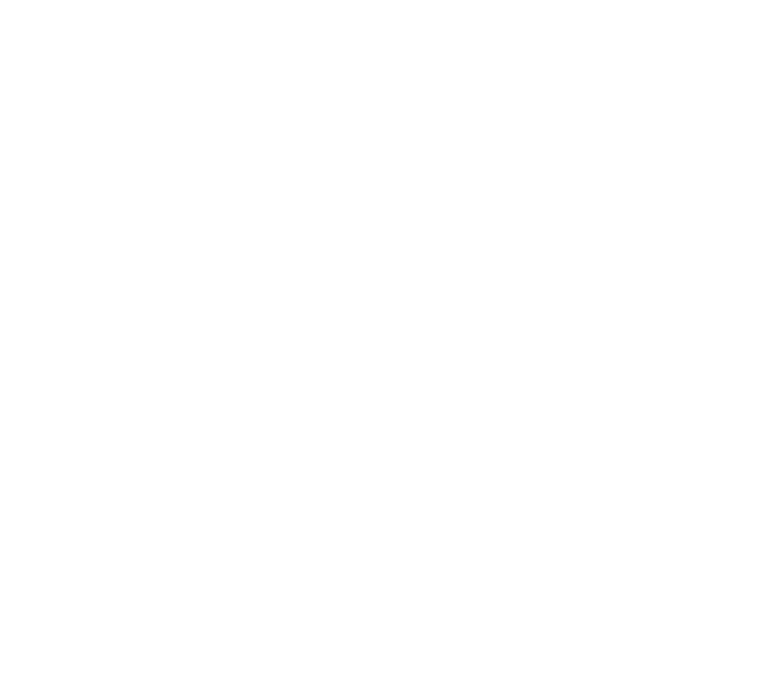 National Women's Soccer League