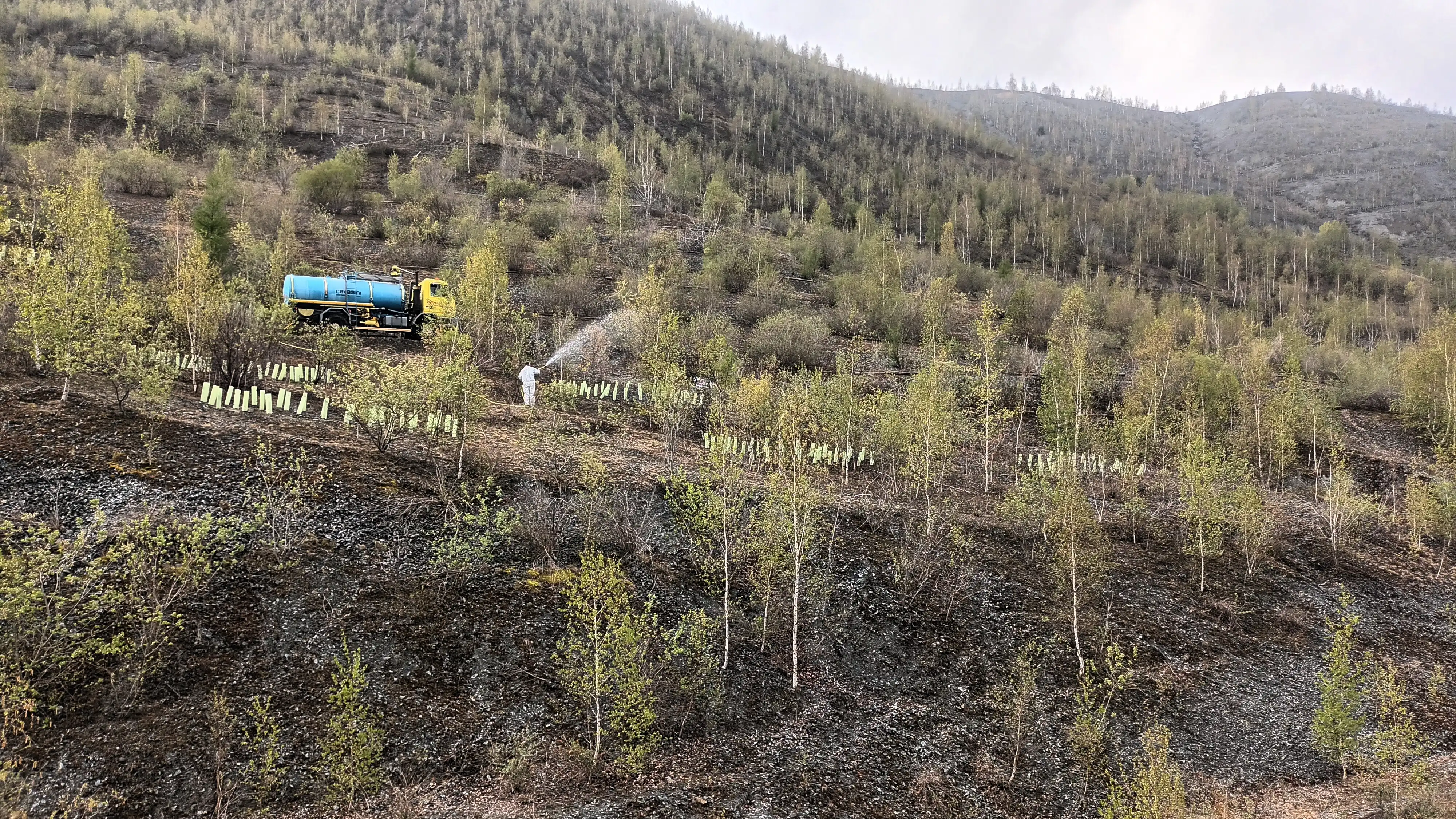 operatore in tuta bianca nebulizza una miscela di semi e concimi su versante discarica lapidea lato Corio ora rimboschito accanto a un camion con cisterna blu