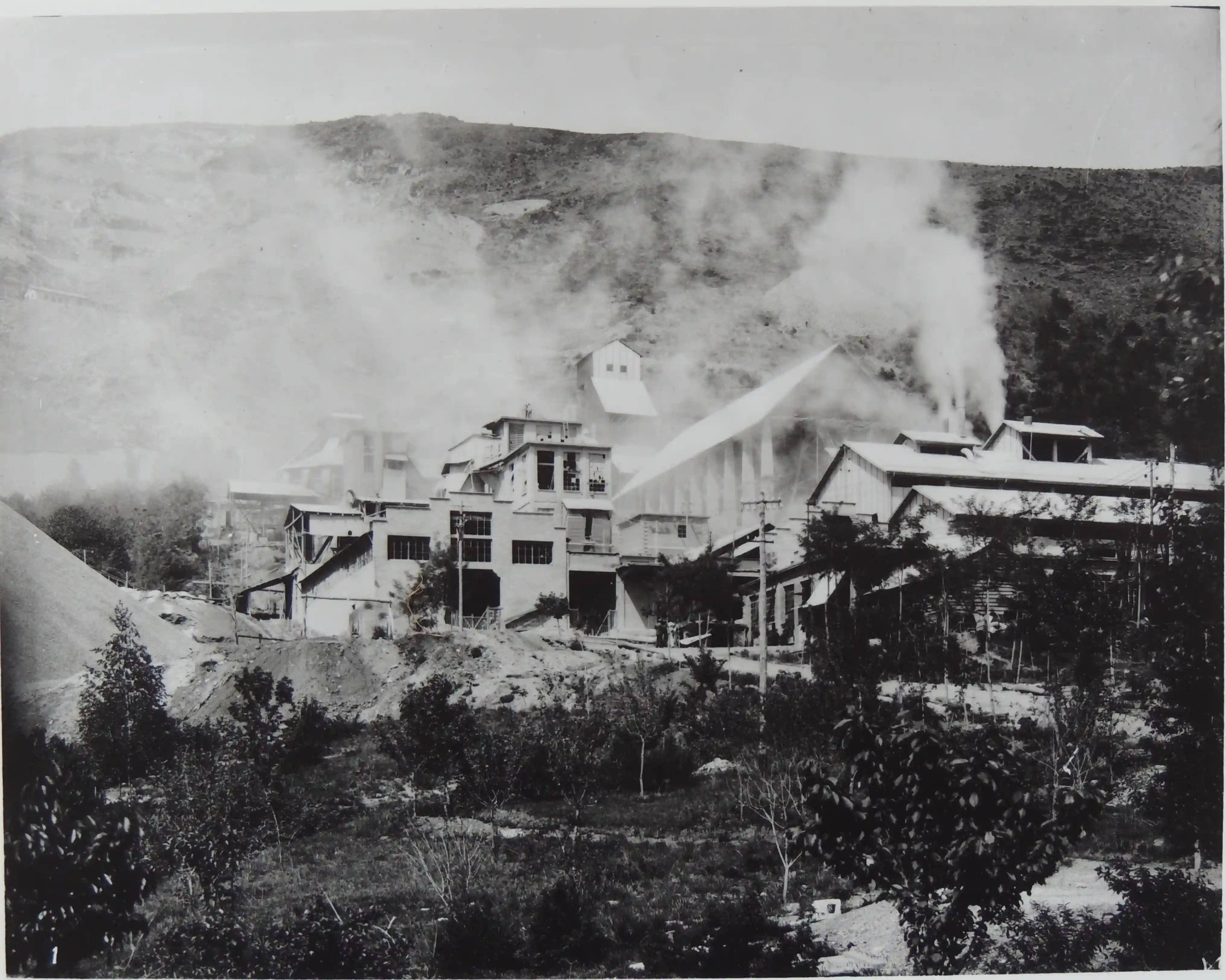 Stabilimento industriale d'epoca sul un pendio montuoso avvolto in nuvole di polvere della lavorazione e vegetazione in primo piano