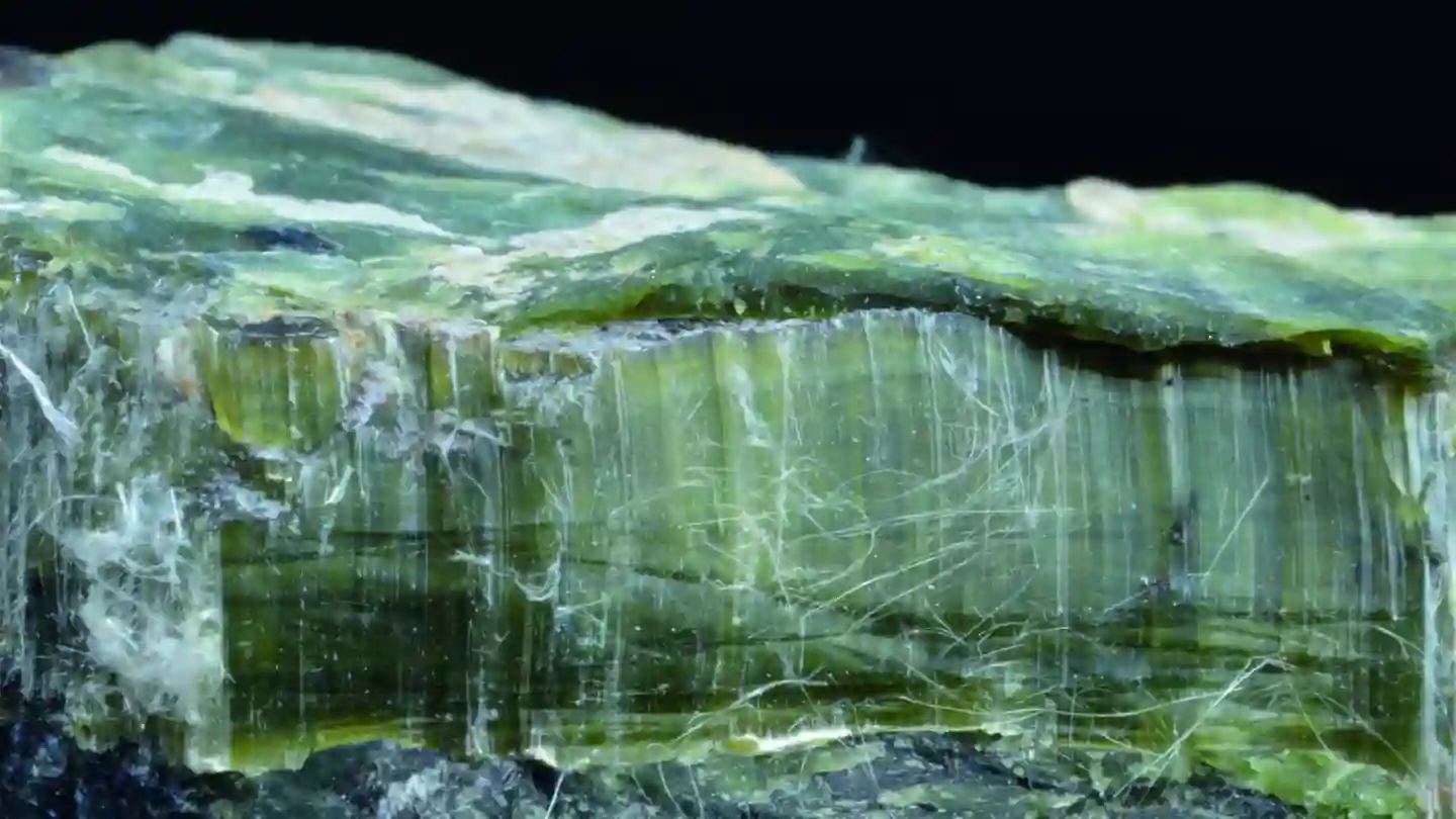Campione di serpentinite con vene di crisotilo, principale varietà di amianto della miniera di Balangero.
