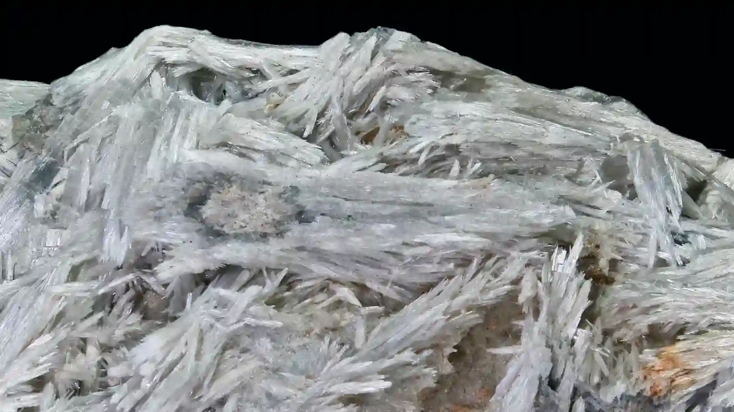 Campione di tremolite d’amianto con aggregati di fibre bianche disposte in fasci radiati. 