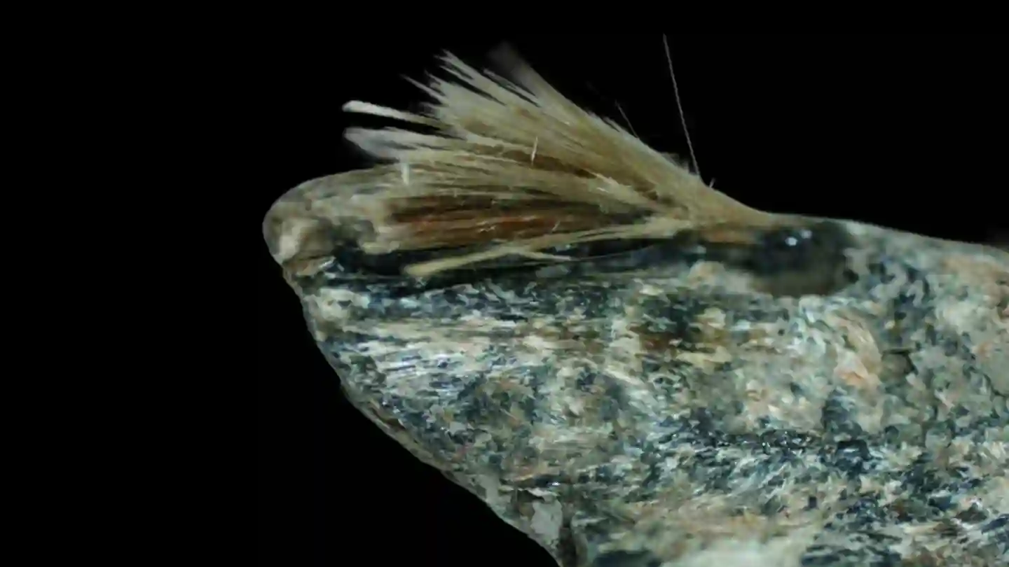 Campione di peridotite