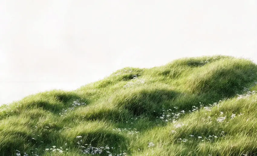 Plan rapproché sur un terrain vallonné et verdoyant, illustrant le type d'environnement naturel où la borne GRéco s'intègre pour une éradication ciblée des moustiques.