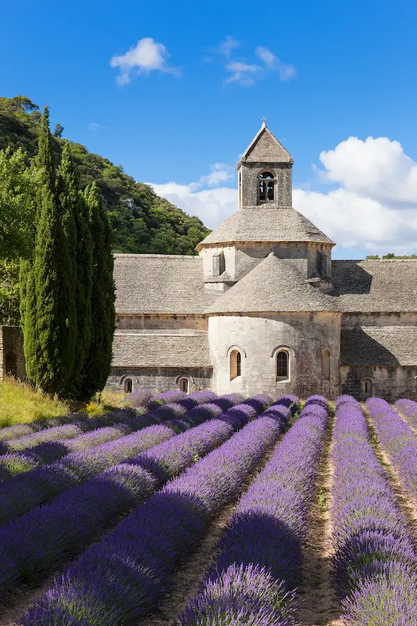 Vue de l'Abbaye de Sénanque et ses champs de lavande, un site touristique protégé des moustiques par les solutions écologiques GRéco pour le confort des visiteurs.