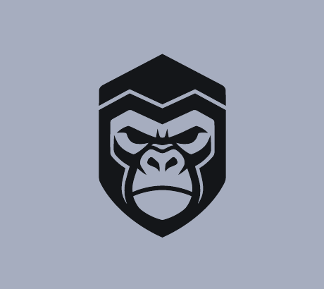 Concept 2 Aim Kong