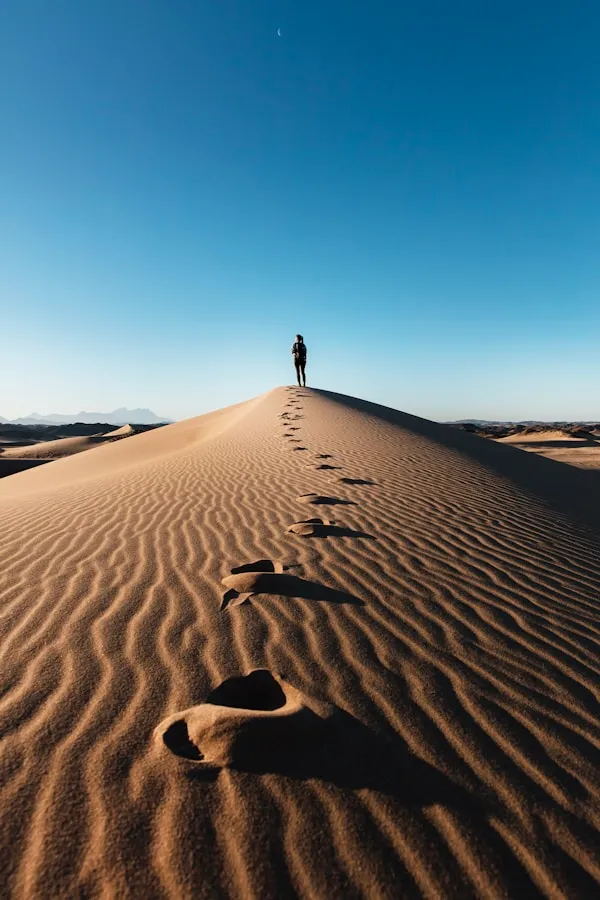 Sand dune, Nature Reserve - NEOM, Saudi Arabia | The NEOM Nature Reserve region is being designed to deliver protection and restoration of biodiversity across 95% of NEOM.