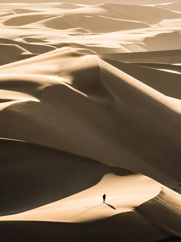 This photo was captured on an adventure across the beautiful Namibian landscape, in Africa.
Endless rolling dunes shadowed shapes onto the sand as far as the eye could see. 