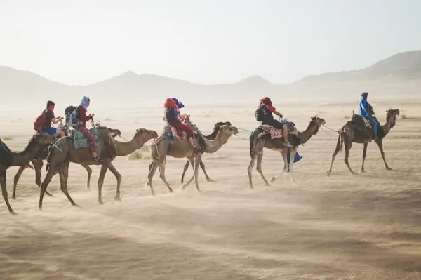Camel riders in Morocco desert