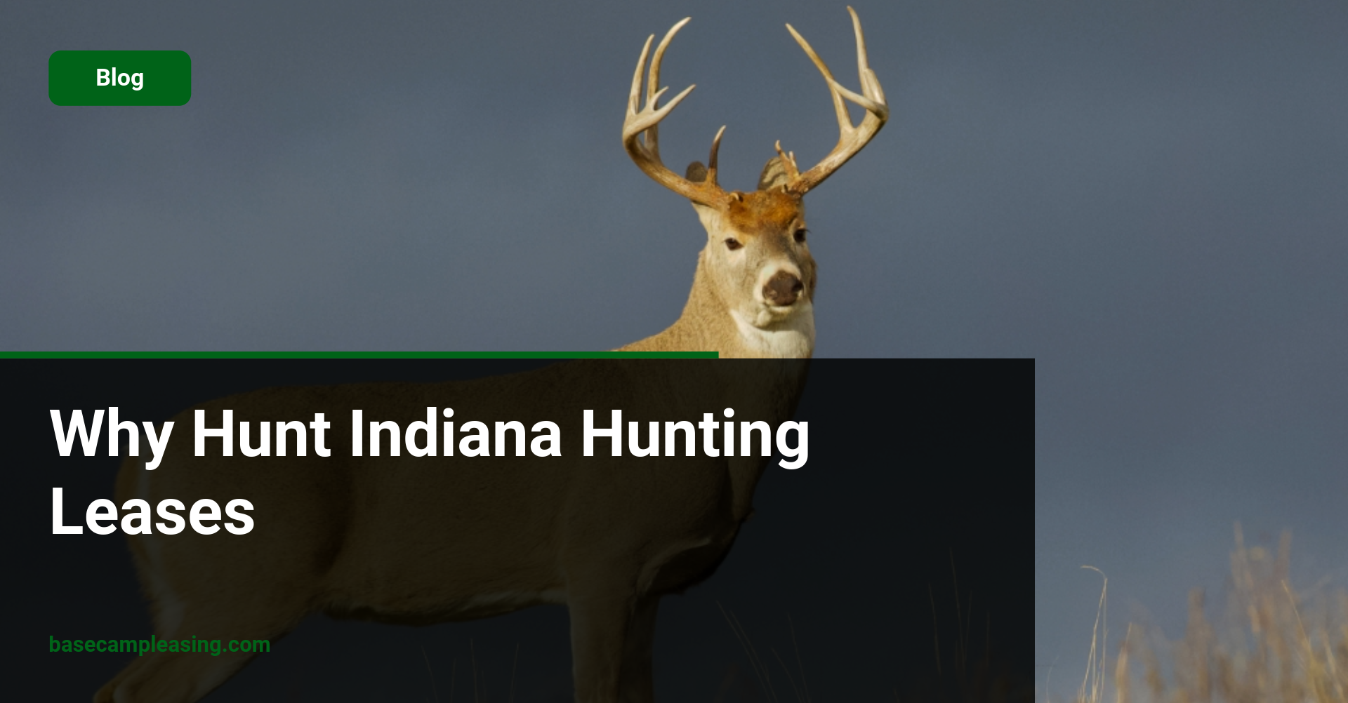 Why Hunt Indiana Hunting Leases featured image
