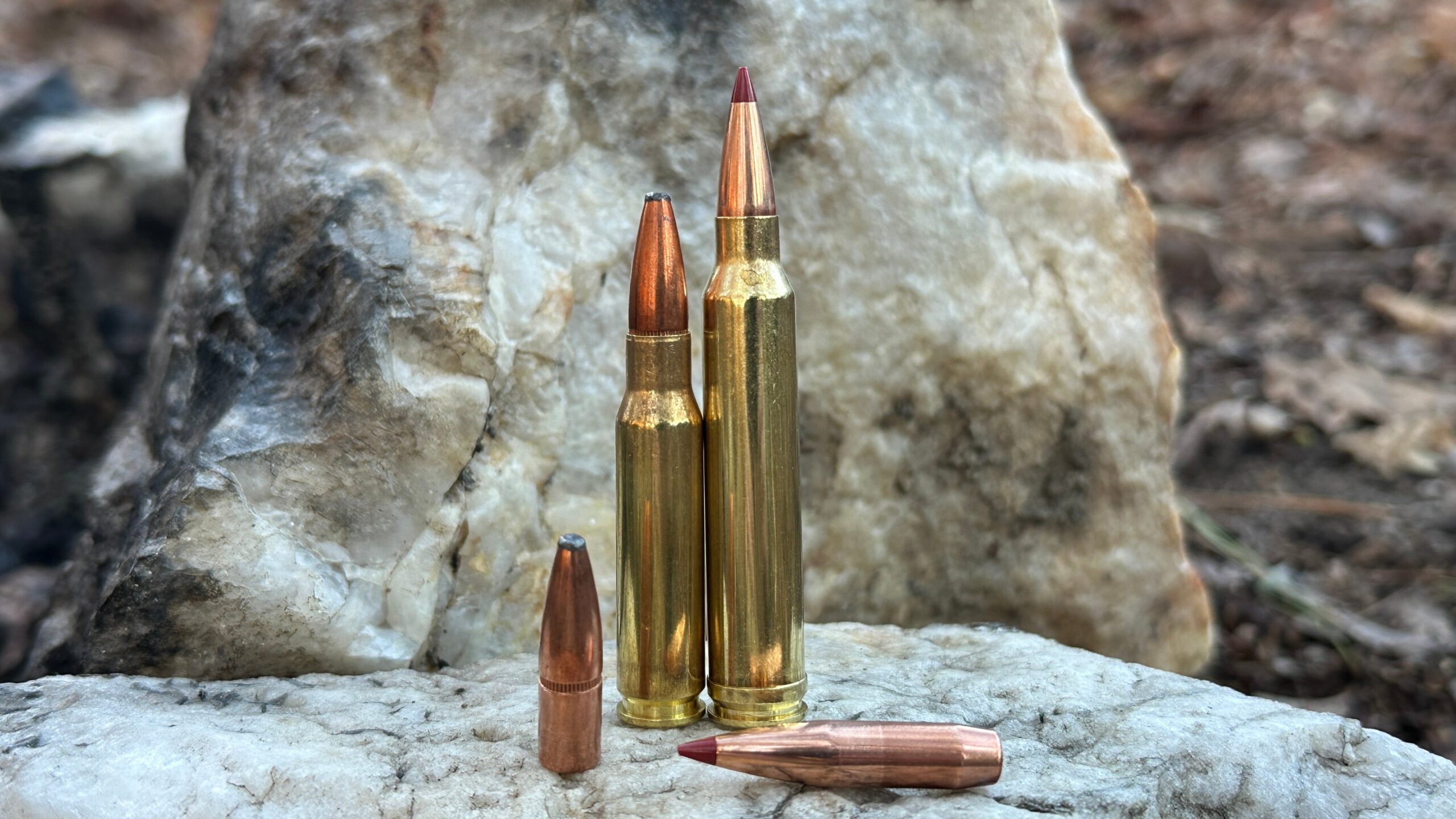 .308 vs .300 Win Mag: Ballistics, Range & Real-World Use featured image