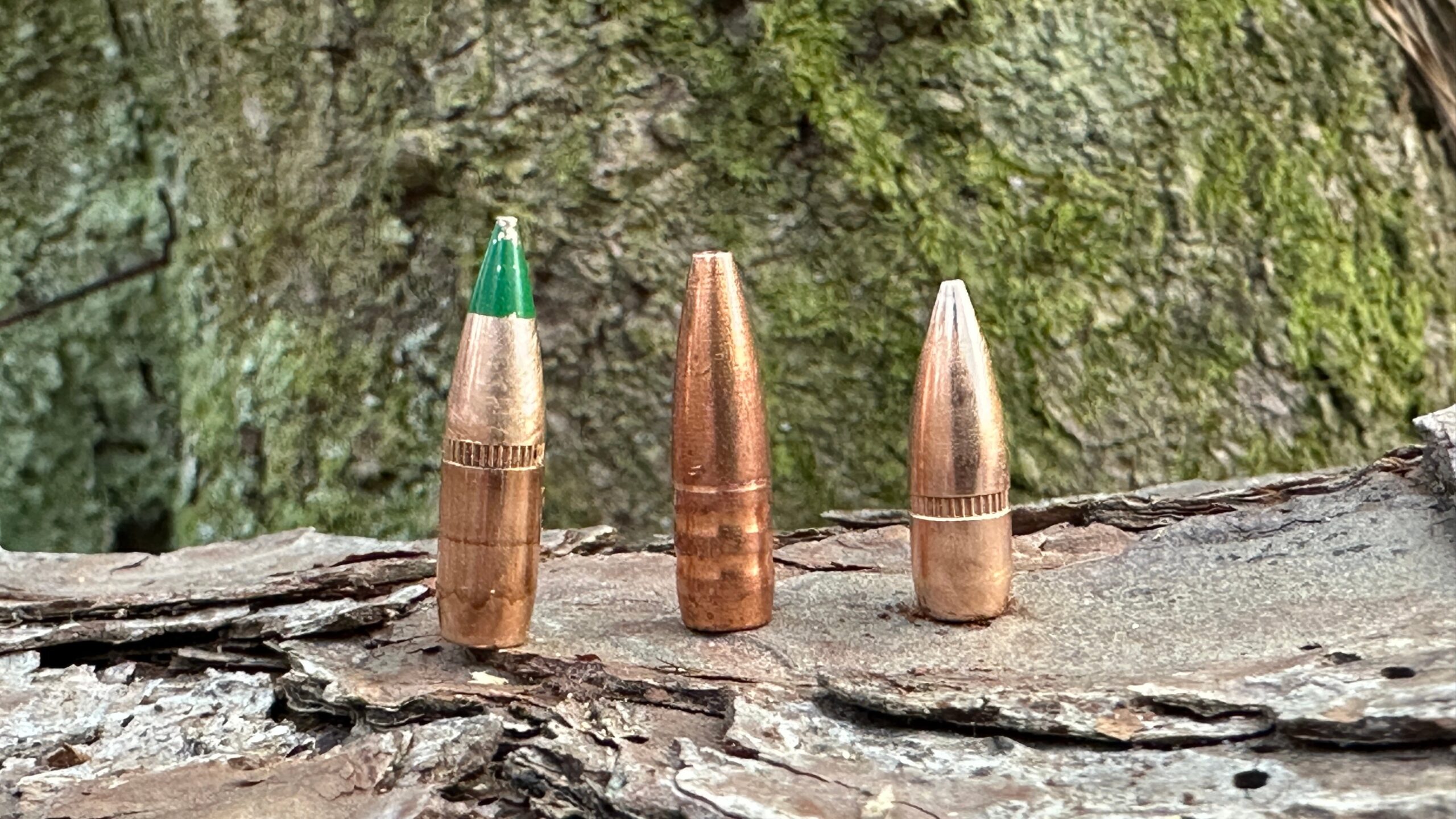Best 5.56 NATO Grain for Your Use [Full Guide] featured image