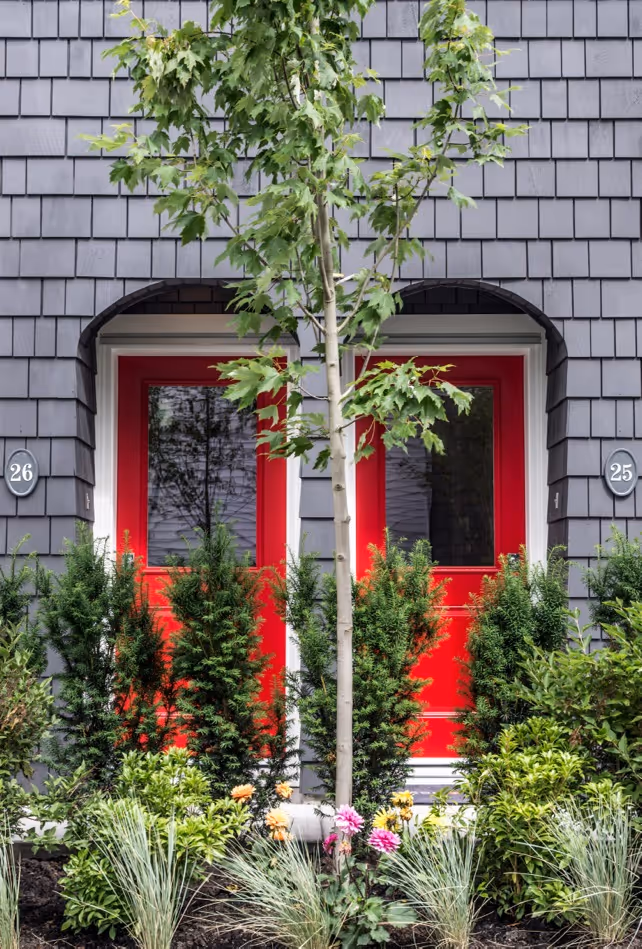 Two vibrant red doors side by side on a gray shingled house, partially obscured by a young tree and green shrubs. Fleetwood Mac by Dawson + Sawyer