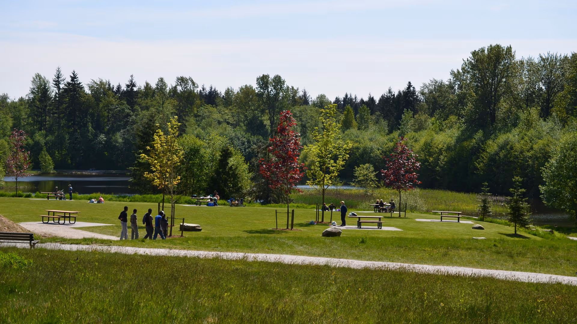 Green park area with picnic tables, scattered young trees with green and red leaves, people walking and sitting near a small lake surrounded by dense forest.
