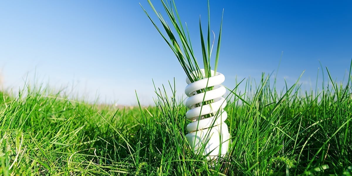 Introducing QR code for the China Energy Label (CEL)