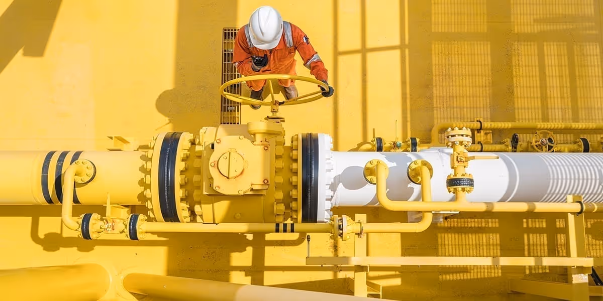 Positive development for remote inspections to obtain SELO China manufacturer license