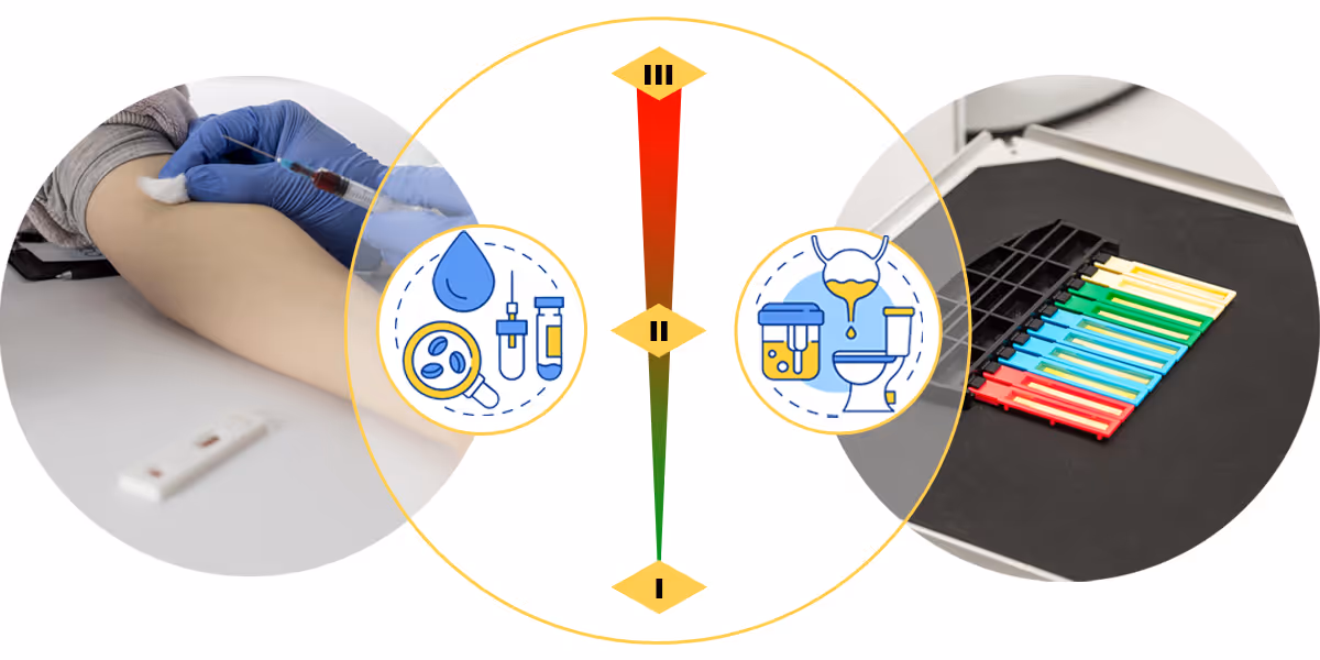 New Standalone Rules for the Classification of IVDs