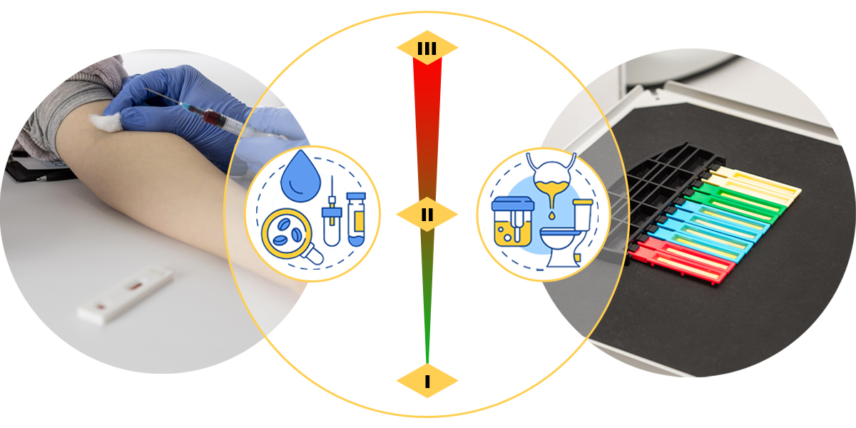 New Standalone Rules for the Classification of IVDs