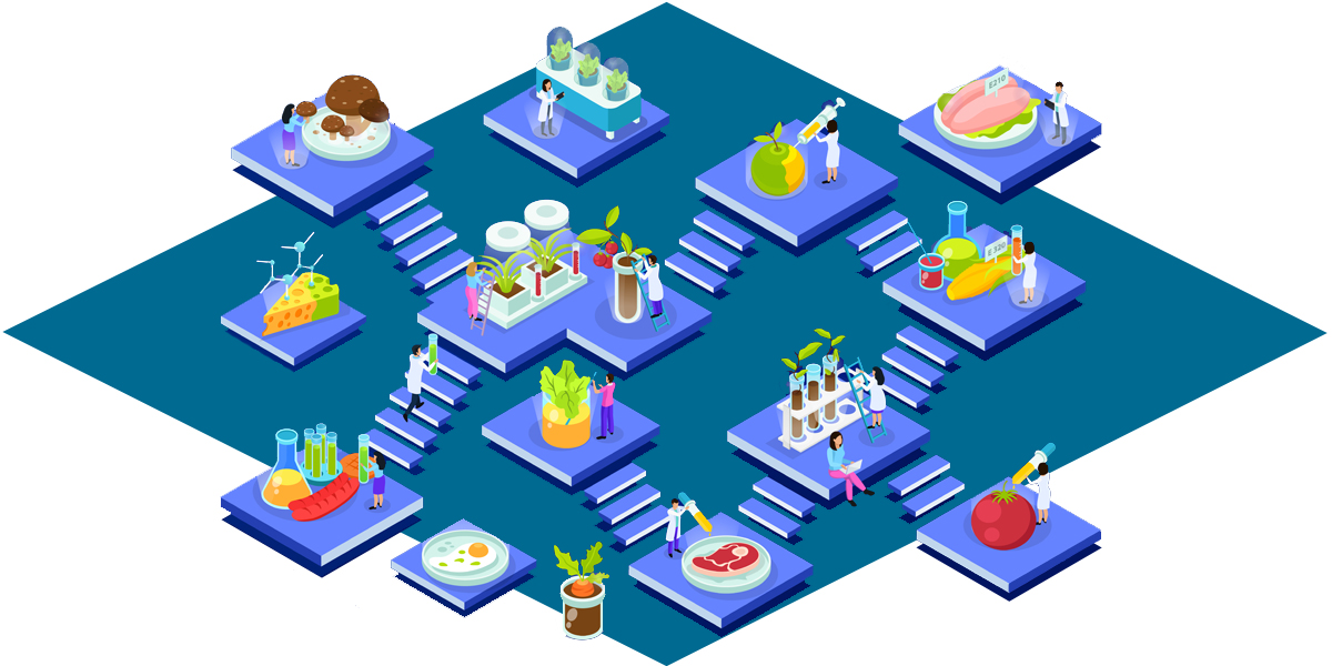 N15 New Food Materials approved by NHC