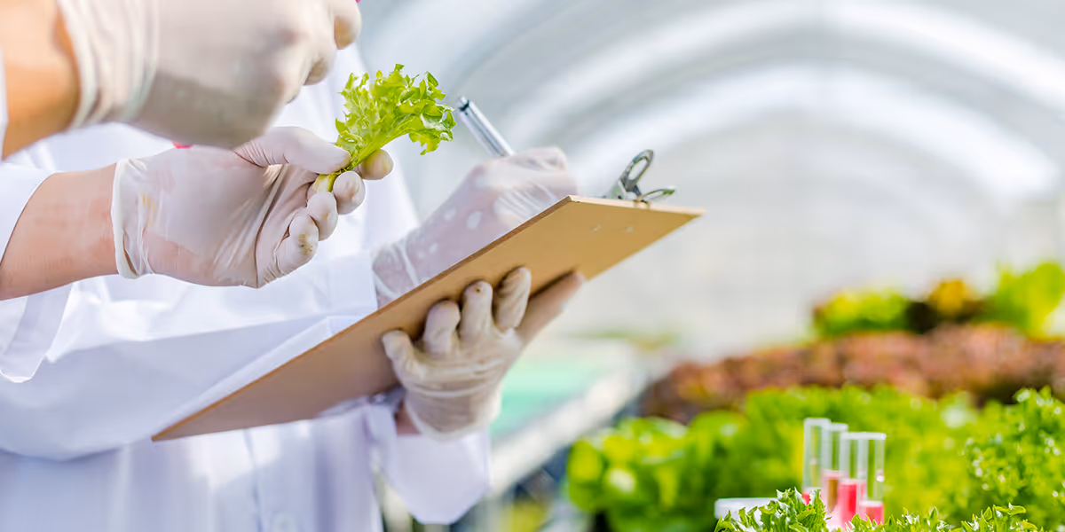 China food production licensing rules update with effect from November 2022