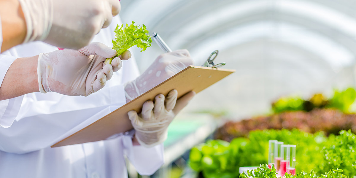 China food production licensing rules update with effect from November 2022