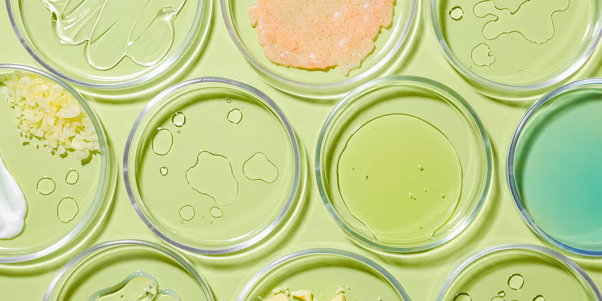 How to avoid animal testing in China for cosmetics | Cisema Webinar (Spanish)