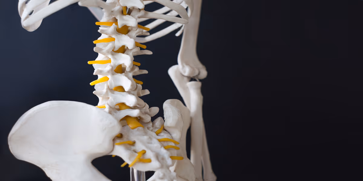 Clinical evaluation of spinal fusion devices - technical review guidelines issued by China NMPA