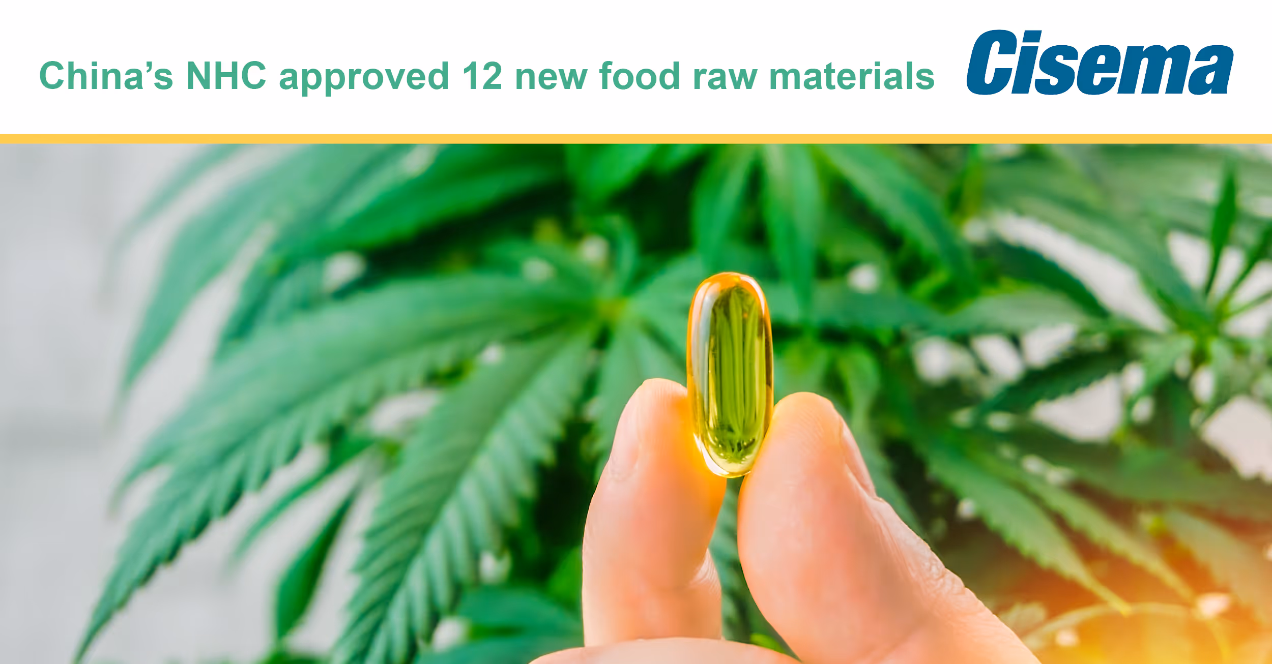 China New Food Raw Materials approved by NHC