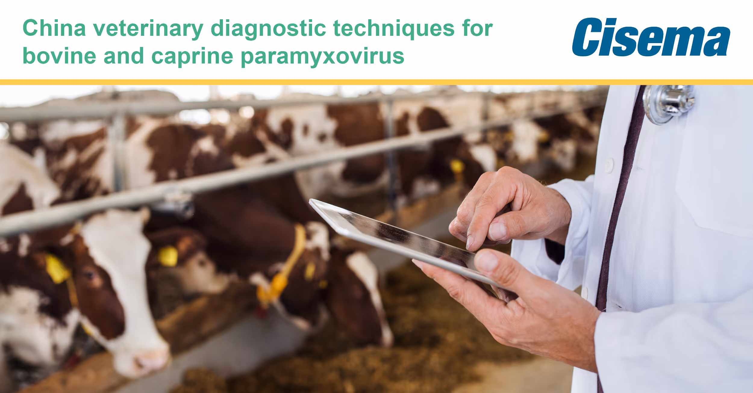 China Veterinary Diagnostic Techniques for BPIV3 and CPIC3