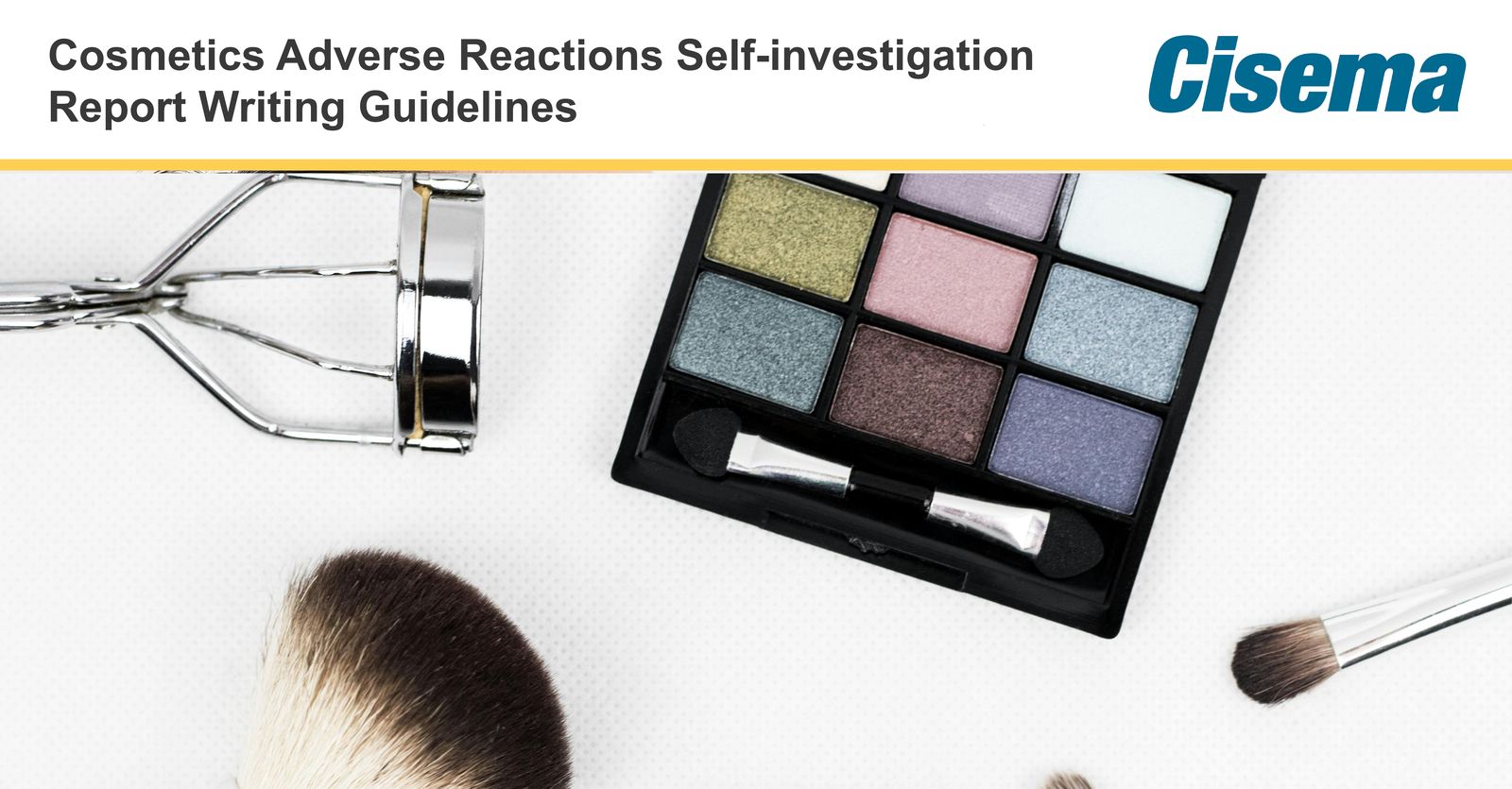 China Cosmetics Adverse Reactions Self-Investigation Report Writing Guidelines