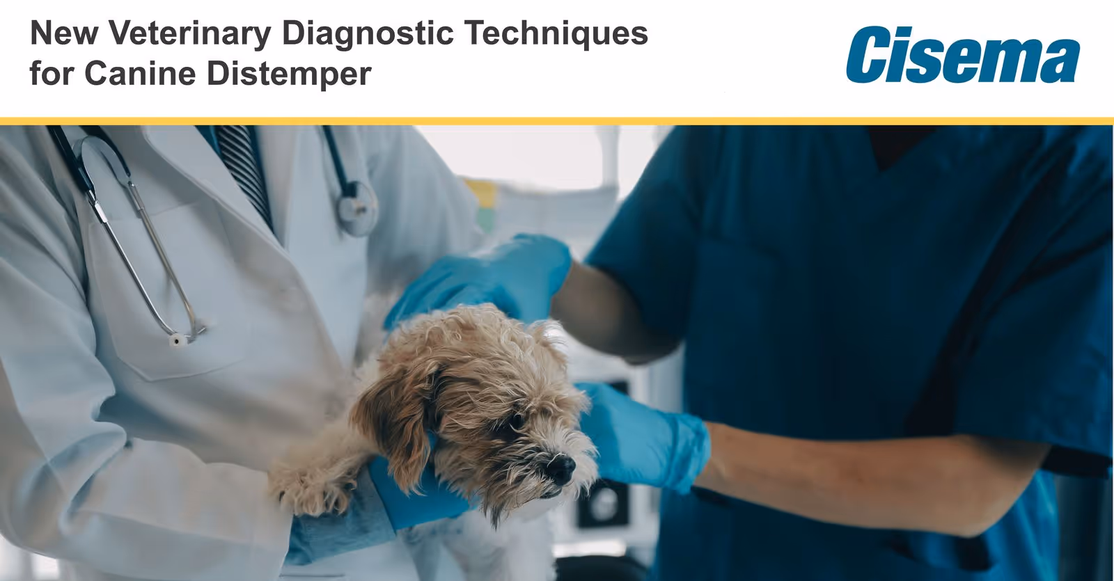 New Veterinary Diagnostic Techniques for Canine Distemper in 2025