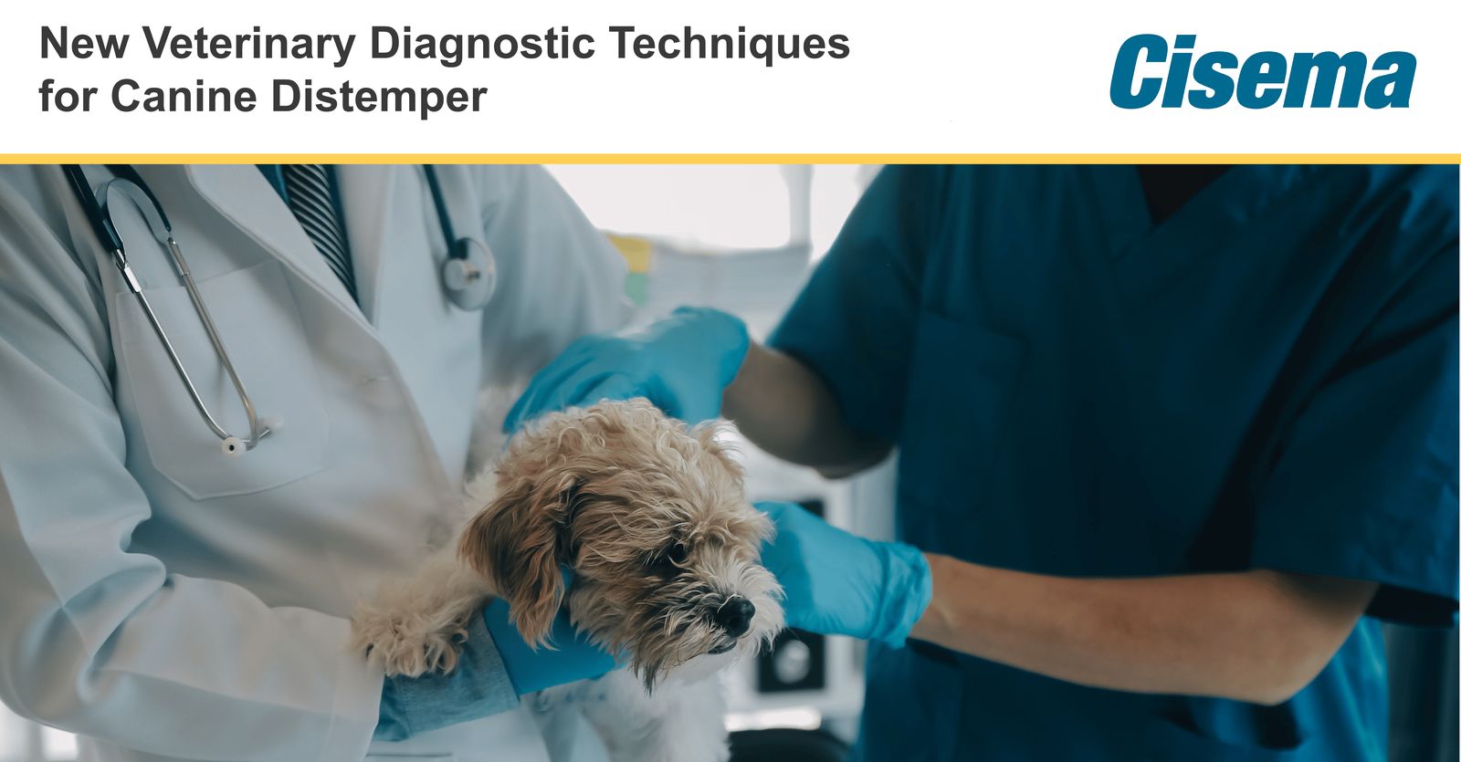 New Veterinary Diagnostic Techniques for Canine Distemper in 2025