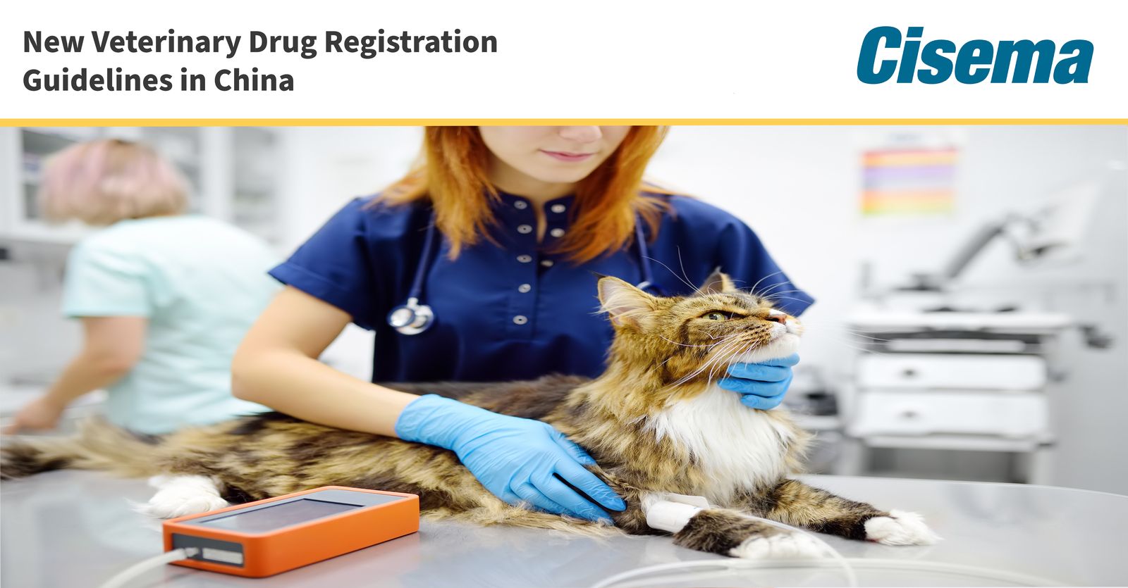 New Veterinary Drug Registration Guidelines in China