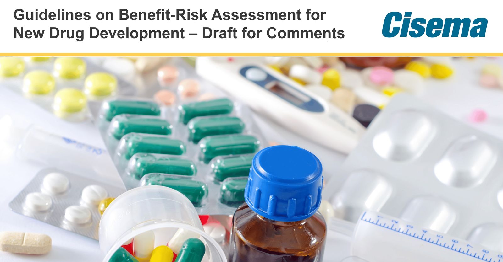 Guidelines on Benefit-Risk Assessment for New Drug Development