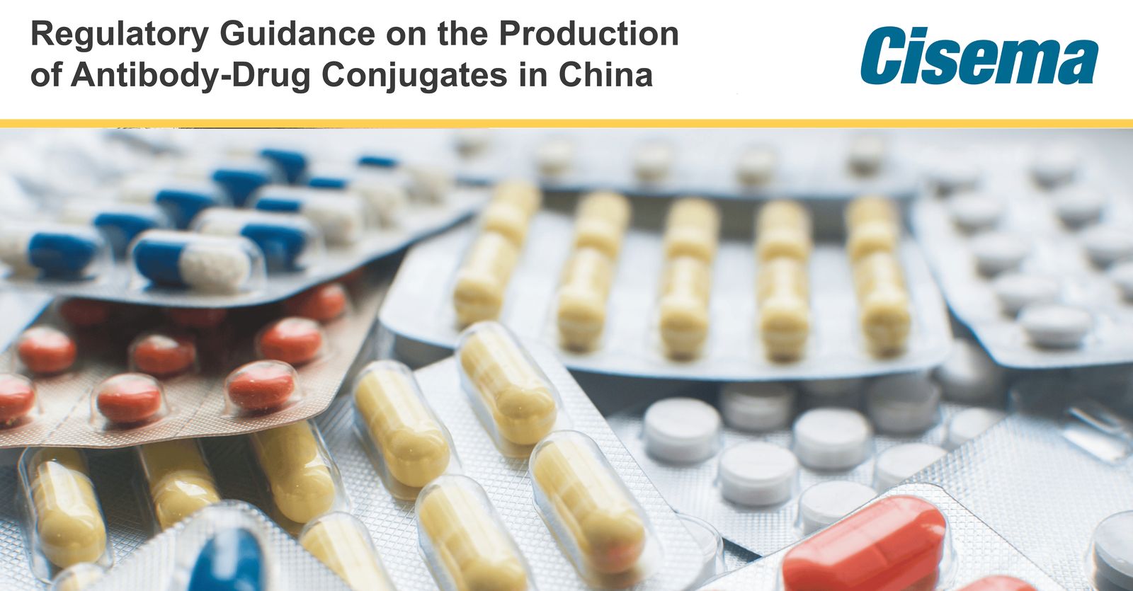 Regulatory Guidance on the Production of Antibody-Drug Conjugates (ADCs) in China
