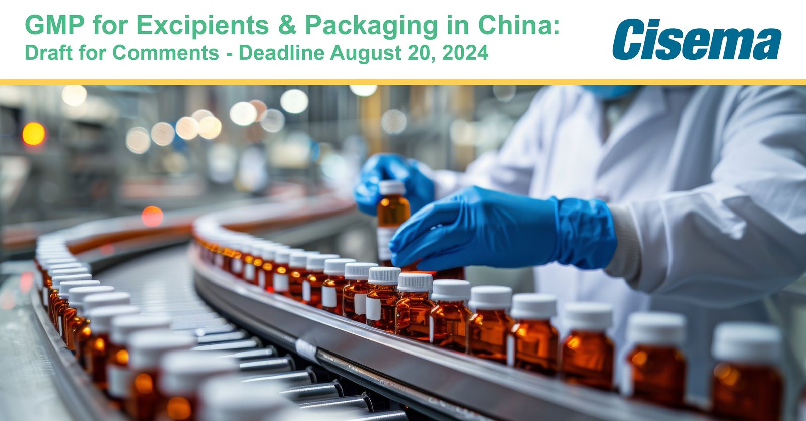 GMP for Excipients and GMP Guidelines for Packaging Materials in China