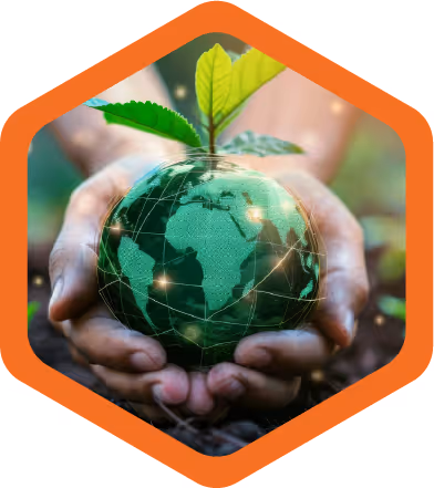 Hands holding a small plant representing environmentally responsible pest control