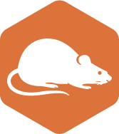 Rodent control - eliminate mice and rats and prevent future entry with first light pest control