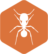 General pest control in the outer banks. Year-round protectino from common household pests