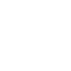 Subterranean termites damaging wood, shown close-up through a magnifying glass.