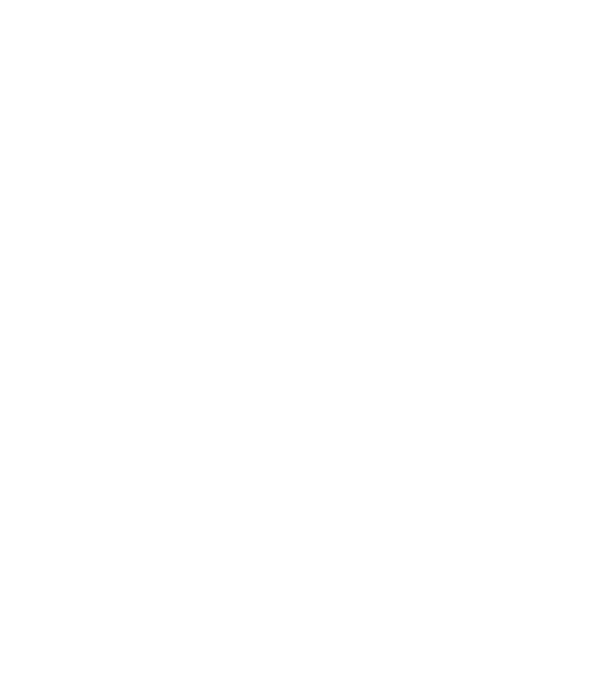 Ant infestation along an interior baseboard with visible trail and debris.